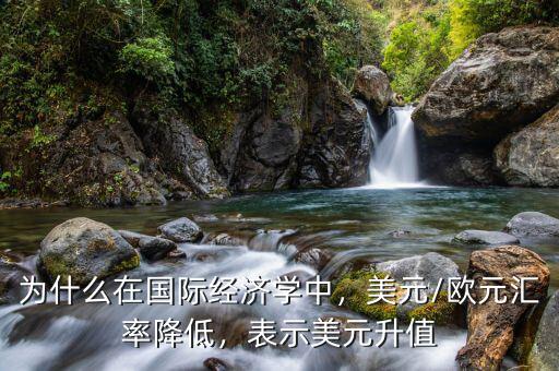 為什么在國(guó)際經(jīng)濟(jì)學(xué)中，美元/歐元匯率降低，表示美元升值