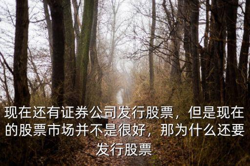 現(xiàn)在還有證券公司發(fā)行股票，但是現(xiàn)在的股票市場(chǎng)并不是很好，那為什么還要發(fā)行股票