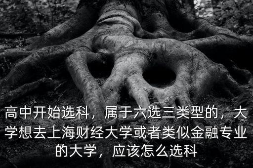 高中開(kāi)始選科，屬于六選三類(lèi)型的，大學(xué)想去上海財(cái)經(jīng)大學(xué)或者類(lèi)似金融專(zhuān)業(yè)的大學(xué)，應(yīng)該怎么選科