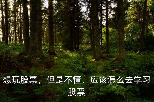 想玩股票，但是不懂，應(yīng)該怎么去學(xué)習(xí)股票