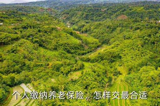個人交養(yǎng)老保險(xiǎn)怎么交,個人繳納養(yǎng)老保險(xiǎn)