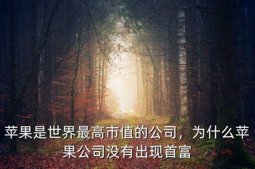 蘋果公司為什么市值那么高,為什么蘋果公司沒(méi)有出現(xiàn)首富