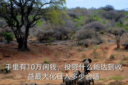 手里有10萬閑錢，投資什么能達到收益最大化日入多少合適