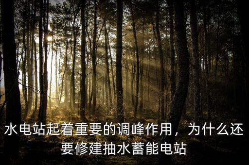 水電站起著重要的調峰作用，為什么還要修建抽水蓄能電站