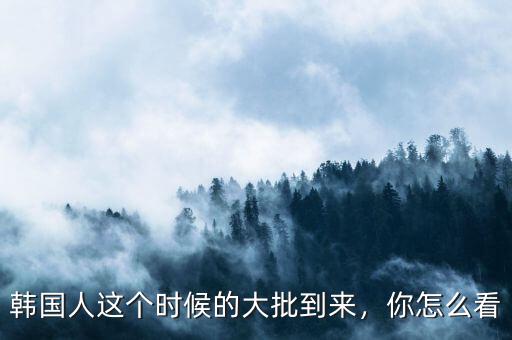 韓國人這個(gè)時(shí)候的大批到來，你怎么看