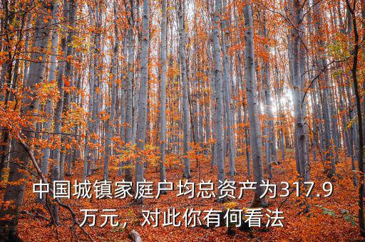 中國(guó)城鎮(zhèn)家庭戶(hù)均總資產(chǎn)為317.9萬(wàn)元，對(duì)此你有何看法
