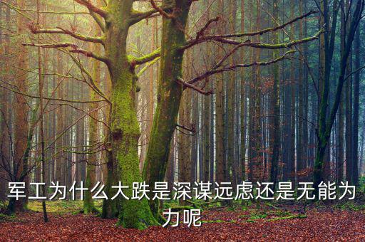 軍工為什么大跌是深謀遠(yuǎn)慮還是無(wú)能為力呢