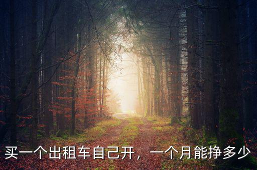 買一個(gè)出租車自己開，一個(gè)月能掙多少