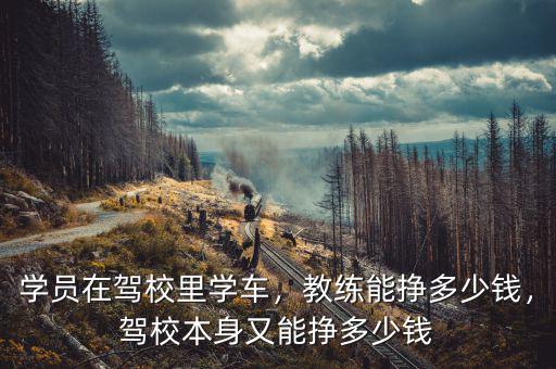 學(xué)員在駕校里學(xué)車，教練能掙多少錢，駕校本身又能掙多少錢