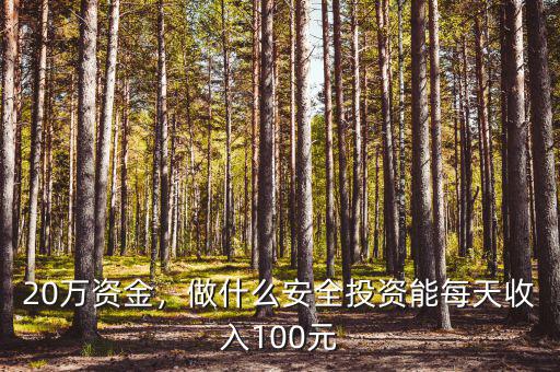 20萬資金，做什么安全投資能每天收入100元