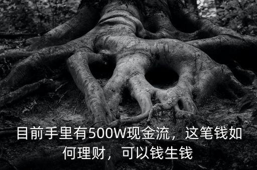 目前手里有500W現(xiàn)金流，這筆錢如何理財，可以錢生錢