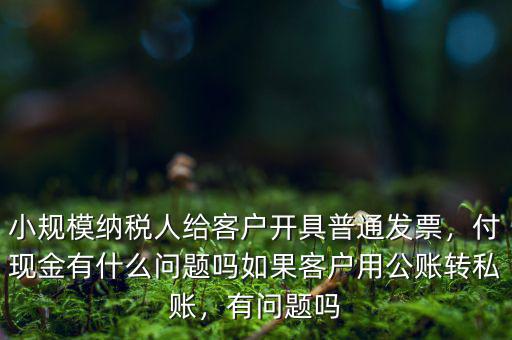 小規(guī)模納稅人給客戶開具普通發(fā)票，付現(xiàn)金有什么問題嗎如果客戶用公賬轉(zhuǎn)私賬，有問題嗎