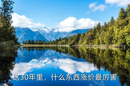 這30年里，什么東西漲價最厲害