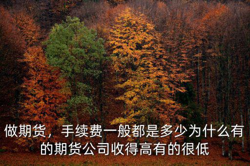 做期貨，手續(xù)費(fèi)一般都是多少為什么有的期貨公司收得高有的很低