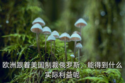 歐洲跟著美國制裁俄羅斯，能得到什么實(shí)際利益呢