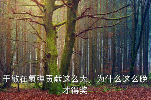 于敏在氫彈貢獻(xiàn)這么大，為什么這么晚才得獎