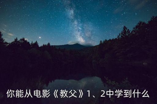 你能從電影《教父》1、2中學(xué)到什么