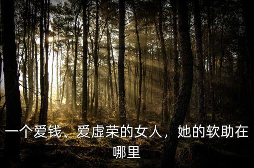 一個愛錢、愛虛榮的女人，她的軟助在哪里