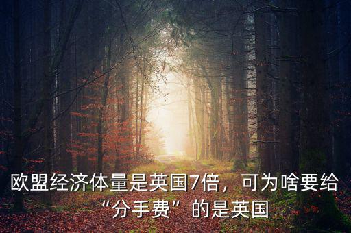 什么是經濟體量,廣西和越南哪個經濟體量大