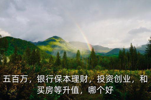 五百萬(wàn)，銀行保本理財(cái)，投資創(chuàng)業(yè)，和買(mǎi)房等升值，哪個(gè)好