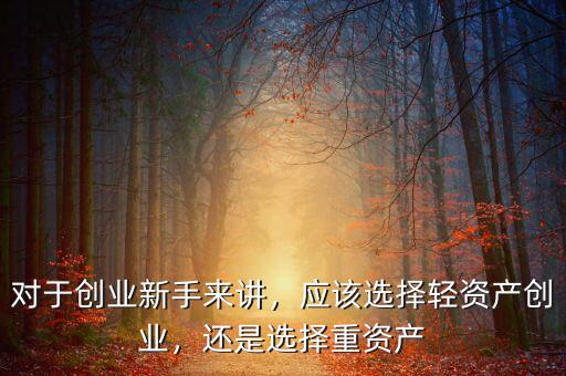 對于創(chuàng)業(yè)新手來講，應該選擇輕資產(chǎn)創(chuàng)業(yè)，還是選擇重資產(chǎn)