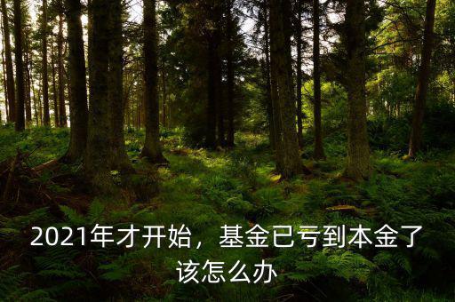 2021年才開始，基金已虧到本金了該怎么辦