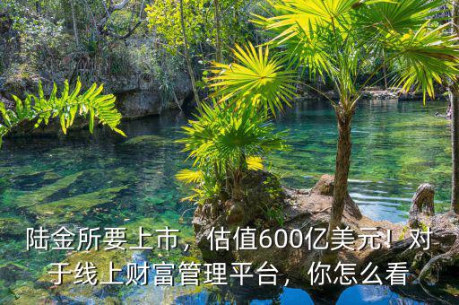 陸金所要上市，估值600億美元！對(duì)于線上財(cái)富管理平臺(tái)，你怎么看