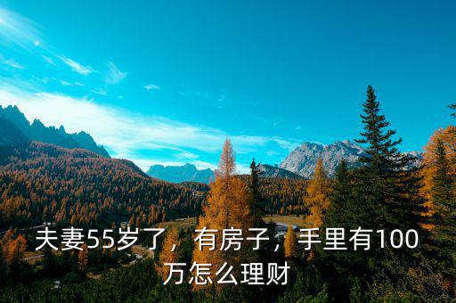 夫妻55歲了，有房子，手里有100萬怎么理財