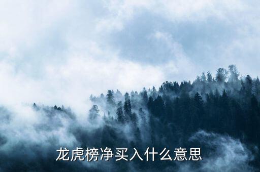 龍虎榜凈買(mǎi)入什么意思