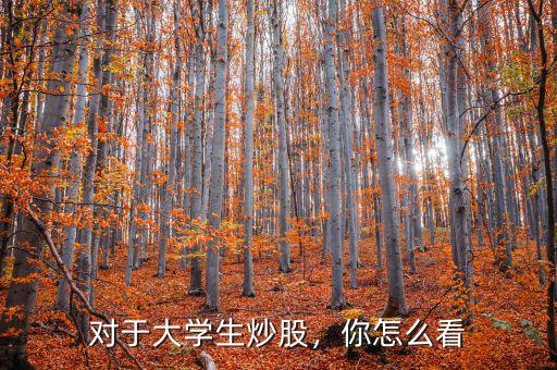 對于大學(xué)生炒股，你怎么看