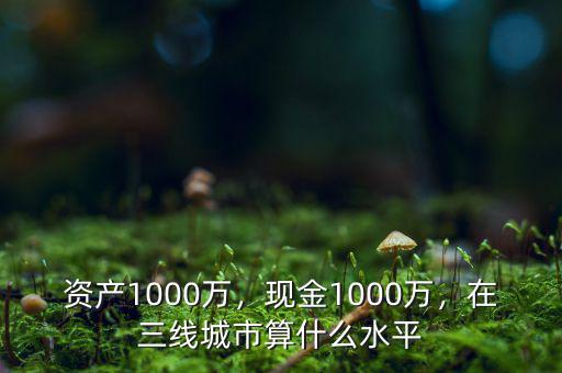 資產(chǎn)1000萬，現(xiàn)金1000萬，在三線城市算什么水平
