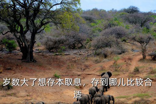 歲數(shù)大了想存本取息，存到哪兒比較合適