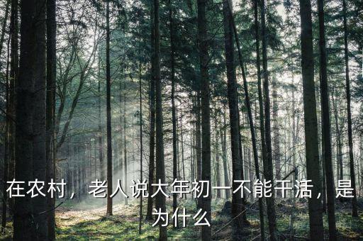 在農(nóng)村，老人說大年初一不能干活，是為什么