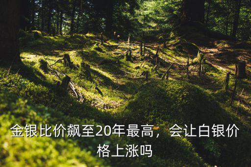 金銀比價(jià)飆至20年最高，會(huì)讓白銀價(jià)格上漲嗎
