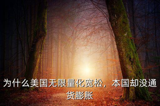 為什么美國無限量化寬松，本國卻沒通貨膨脹