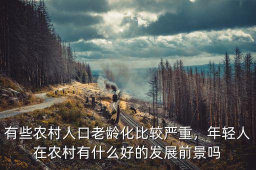 有些農(nóng)村人口老齡化比較嚴(yán)重，年輕人在農(nóng)村有什么好的發(fā)展前景嗎