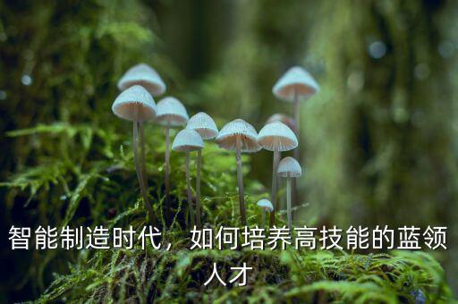 智能制造時代，如何培養(yǎng)高技能的藍(lán)領(lǐng)人才