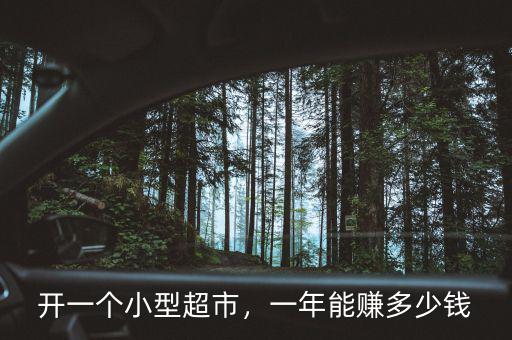 開(kāi)一個(gè)小型超市，一年能賺多少錢(qián)