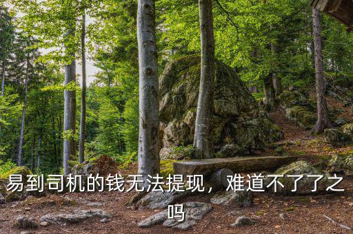 易到司機(jī)的錢無法提現(xiàn)，難道不了了之嗎