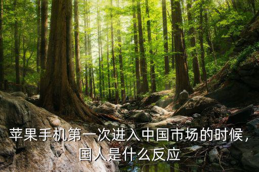蘋(píng)果手機(jī)第一次進(jìn)入中國(guó)市場(chǎng)的時(shí)候，國(guó)人是什么反應(yīng)