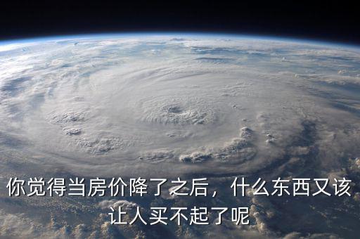你覺得當(dāng)房價降了之后，什么東西又該讓人買不起了呢