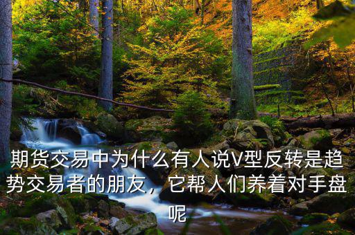 期貨交易中為什么有人說V型反轉(zhuǎn)是趨勢交易者的朋友，它幫人們養(yǎng)著對手盤呢