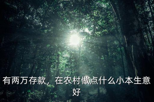 有兩萬(wàn)存款，在農(nóng)村做點(diǎn)什么小本生意好