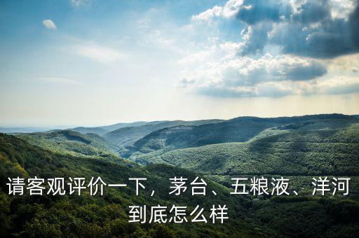 請(qǐng)客觀評(píng)價(jià)一下，茅臺(tái)、五糧液、洋河到底怎么樣