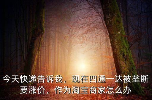 今天快遞告訴我，現(xiàn)在四通一達被壟斷要漲價，作為淘寶商家怎么辦