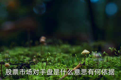 股票市場對手盤是什么意思有何依據