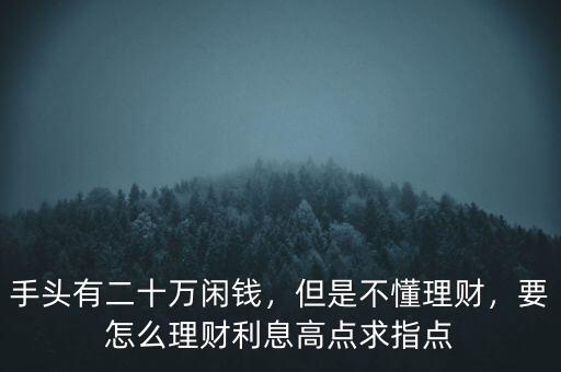 手頭有二十萬(wàn)閑錢，但是不懂理財(cái)，要怎么理財(cái)利息高點(diǎn)求指點(diǎn)