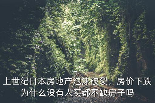 上世紀(jì)日本房地產(chǎn)泡沫破裂，房?jī)r(jià)下跌為什么沒有人買都不缺房子嗎