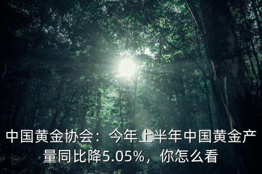中國庫存黃金有多少,中國黃金協(xié)會(huì)