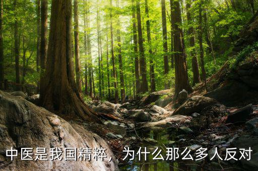 中醫(yī)是我國(guó)精粹，為什么那么多人反對(duì)